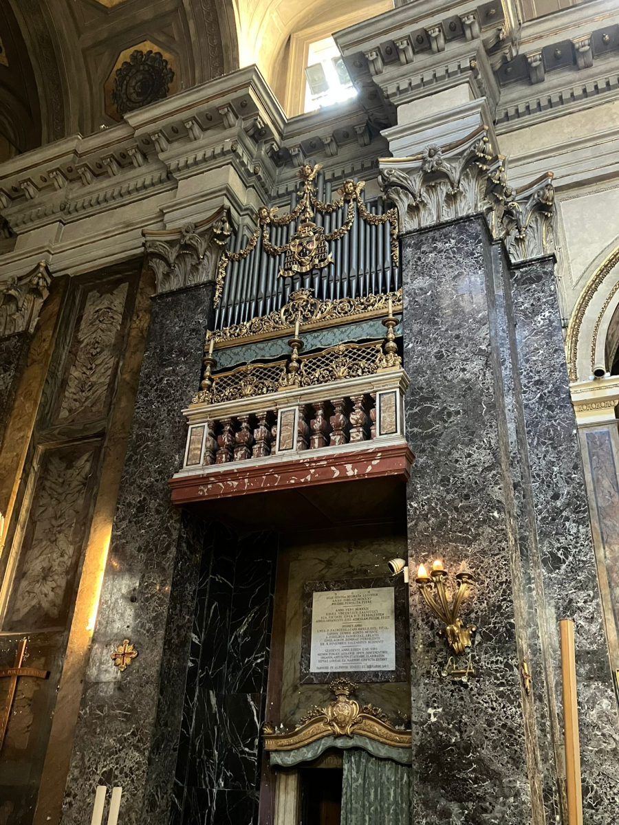 IMG 7184