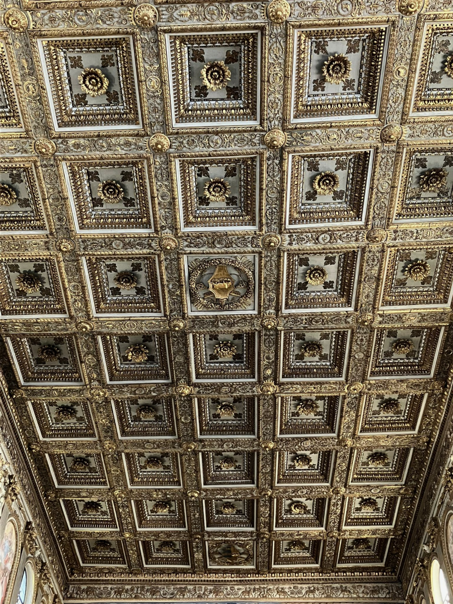 IMG 7188