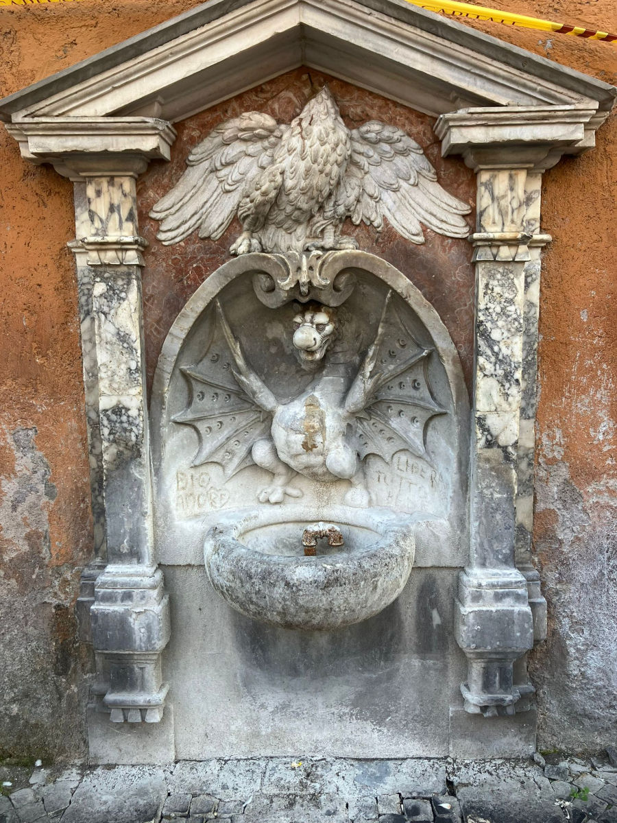 IMG 7196