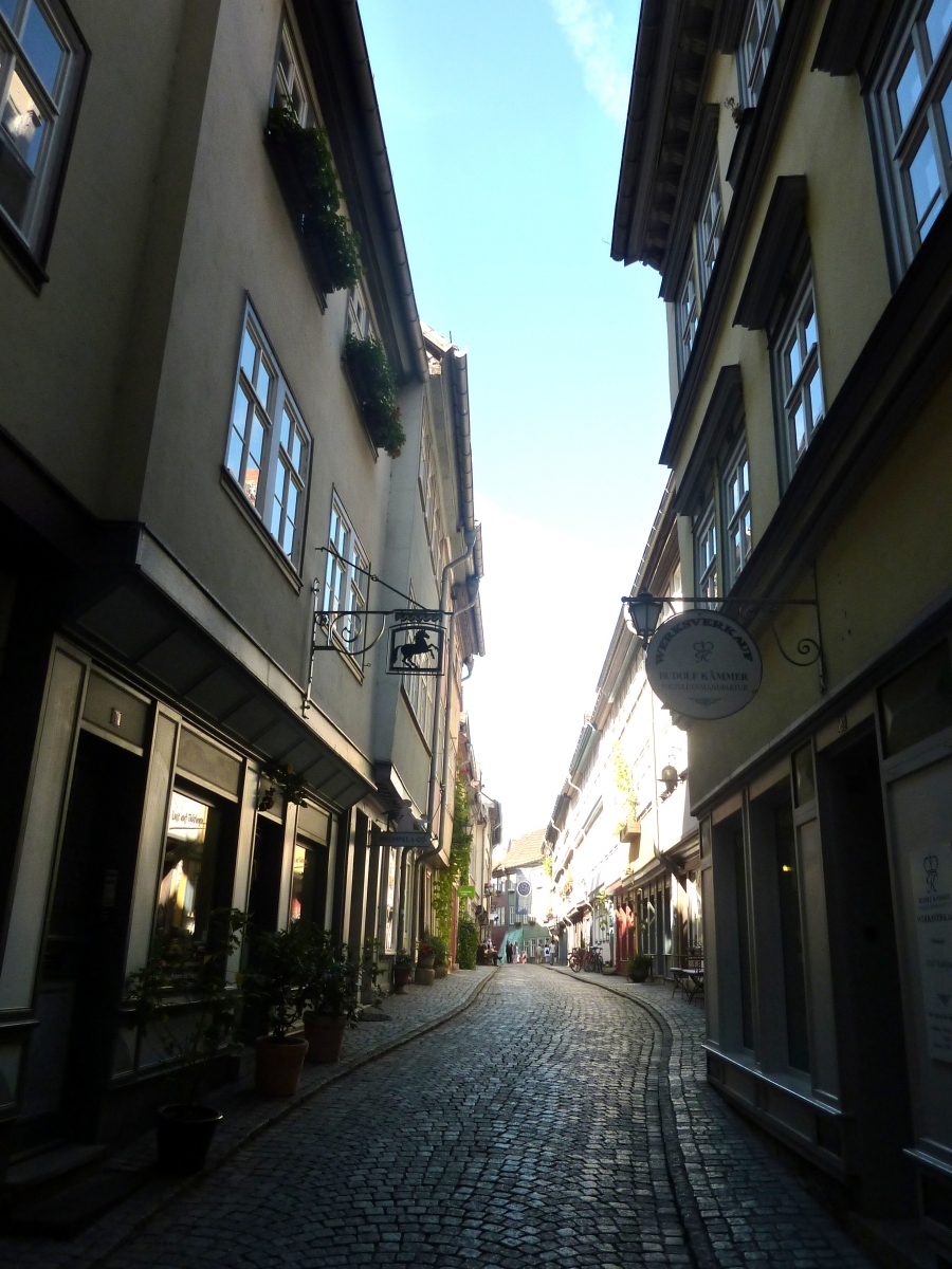 Sommer 2010 004
