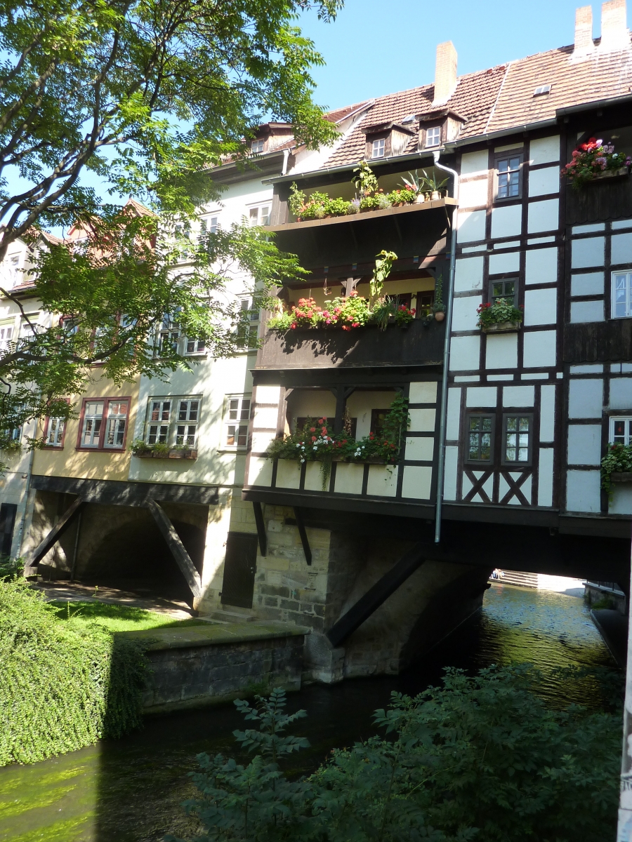 Sommer 2010 006
