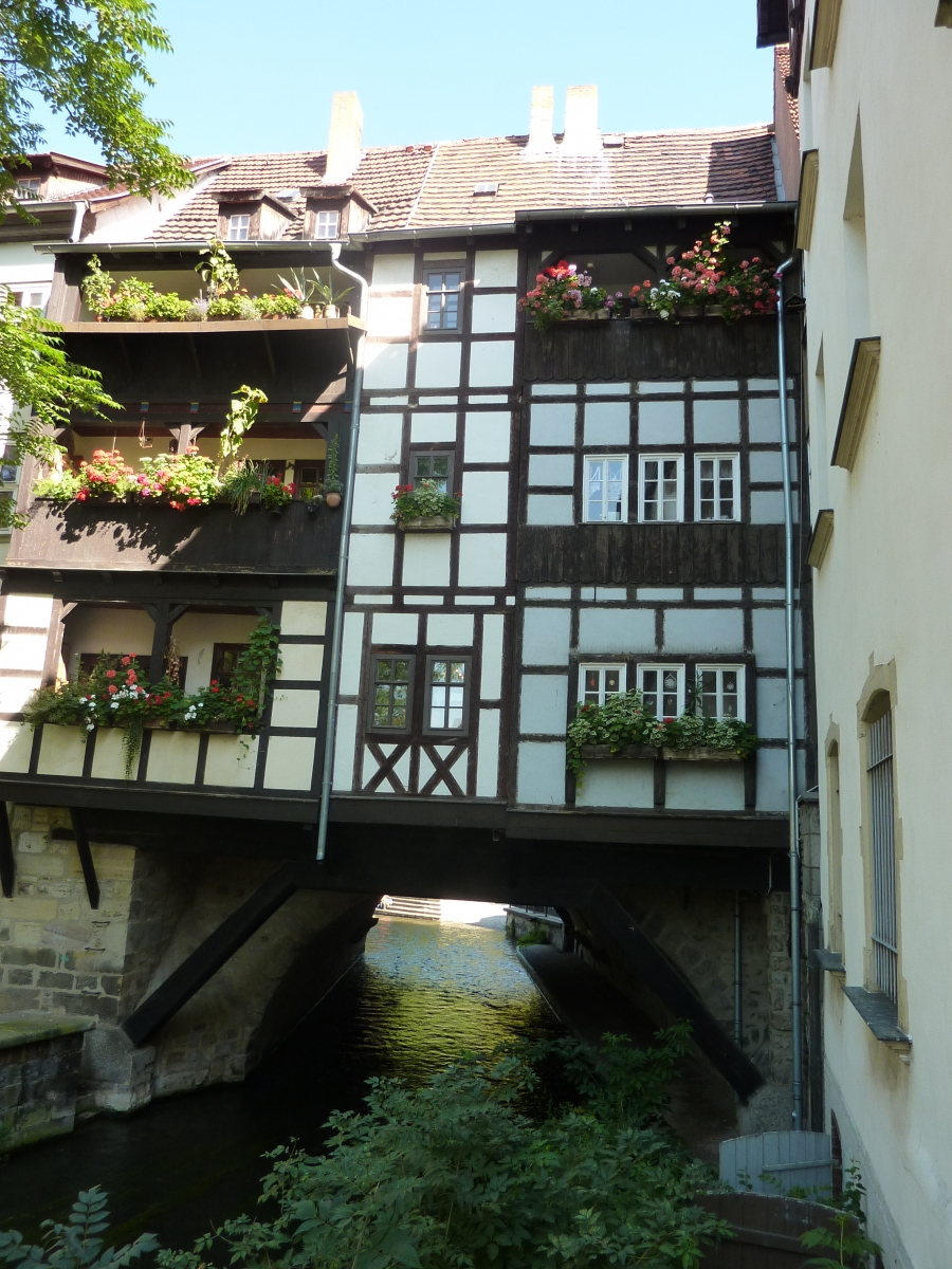 Sommer 2010 008