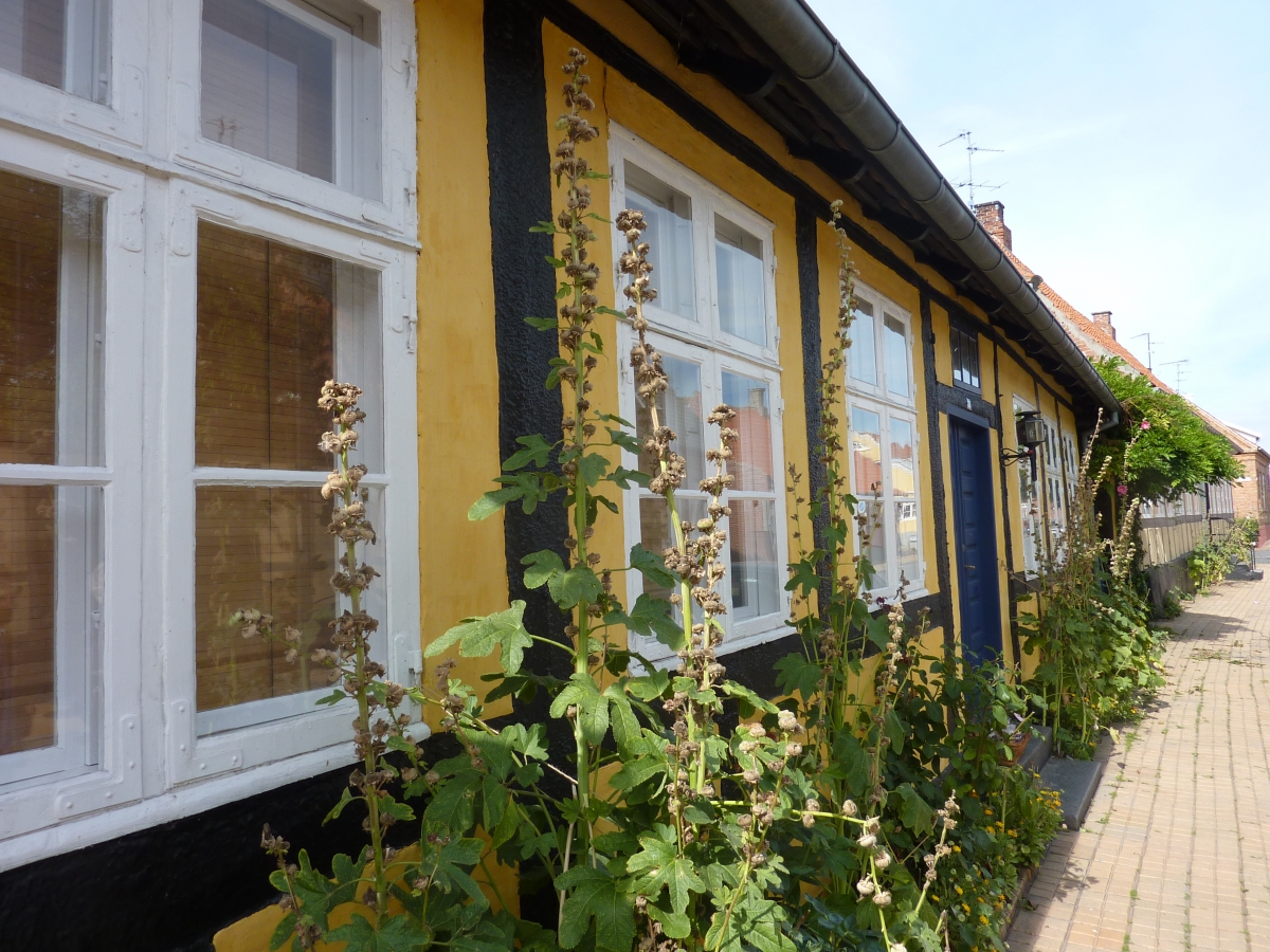 Sommer 2010 143