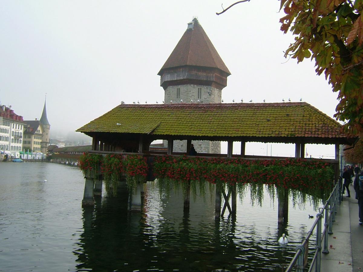 DSCF1766
