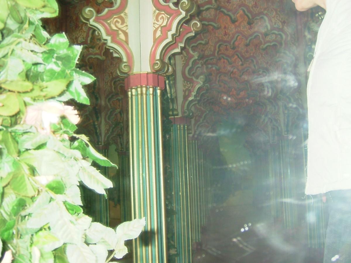 DSCF1782