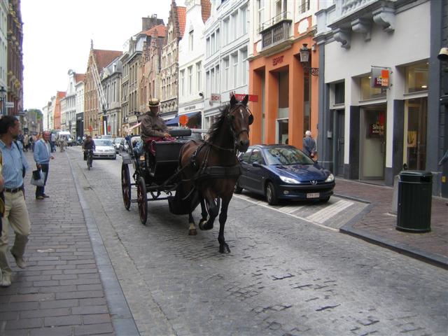 NOME 016 (Small)
