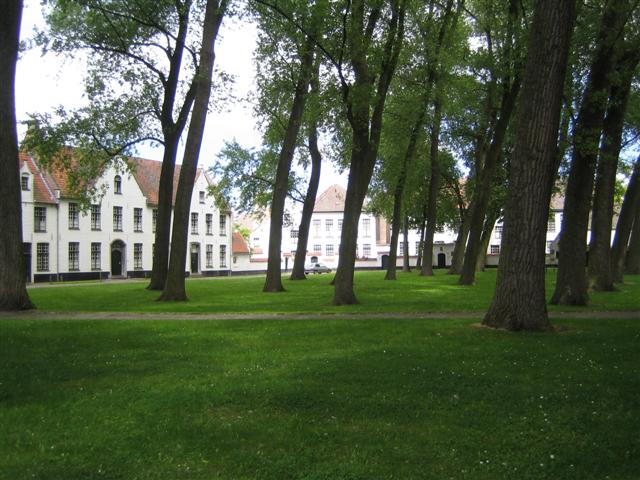 NOME 023 (Small)